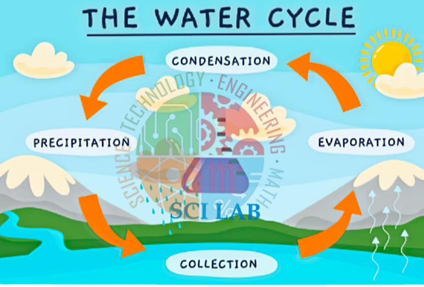 Water Cycle Model