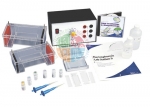 Electrophoresis Lab Station II