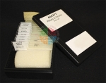 Mitosis &amp; Meiosis Set, Microscope Slides