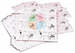 Fruit fly Genetics Kit