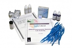 Dna /Chromosome Staining Lab Activity